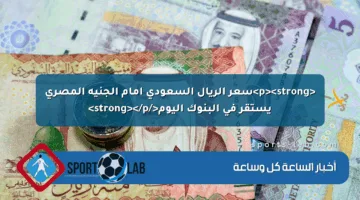 <p><strong>سعر الريال السعودي أمام الجنيه المصري يستقر في البنوك اليوم</strong></p>